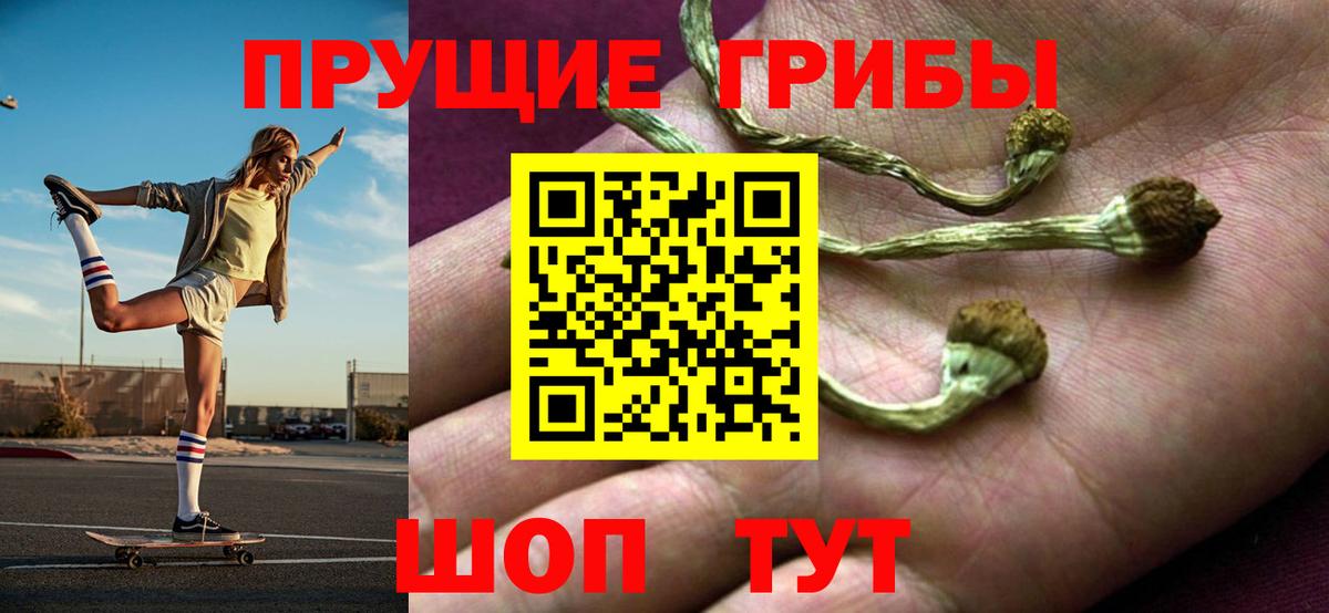Галлюциногенные грибы Psilocybine cubensis  Вход с VPN  Дальнереченск 