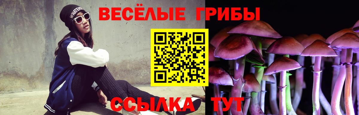 Псилоцибиновые грибы MAGIC MUSHROOMS Дальнереченск