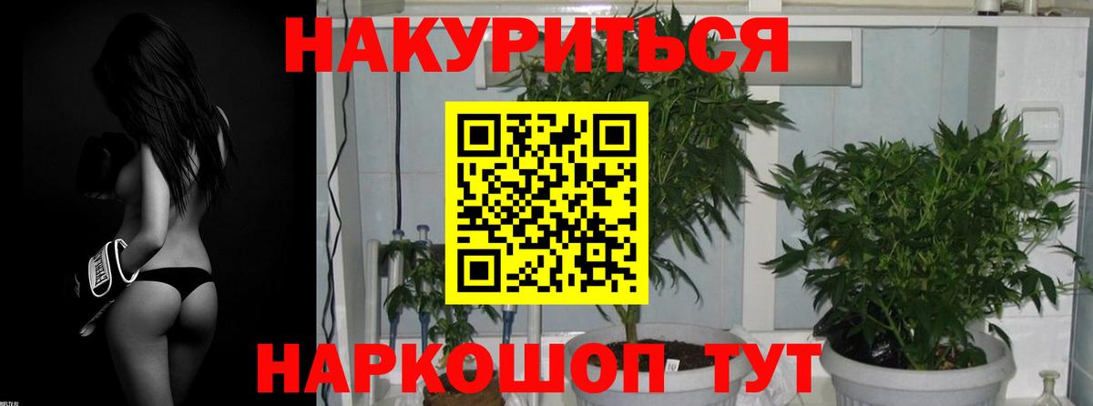 Конопля тримм Дальнереченск